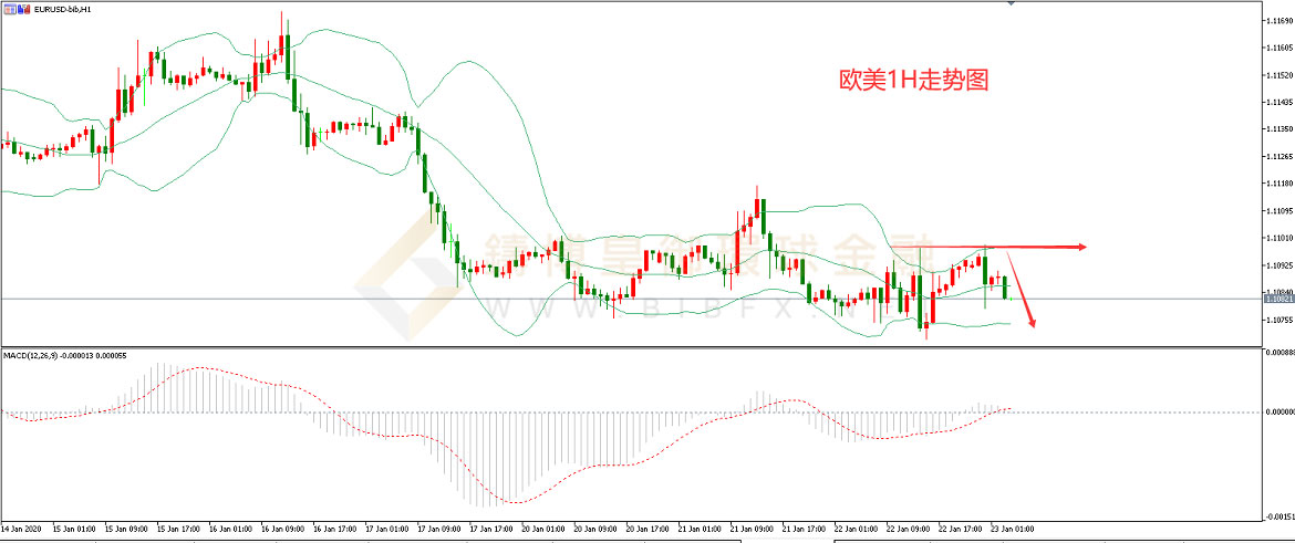 御金国际-欧元/美元