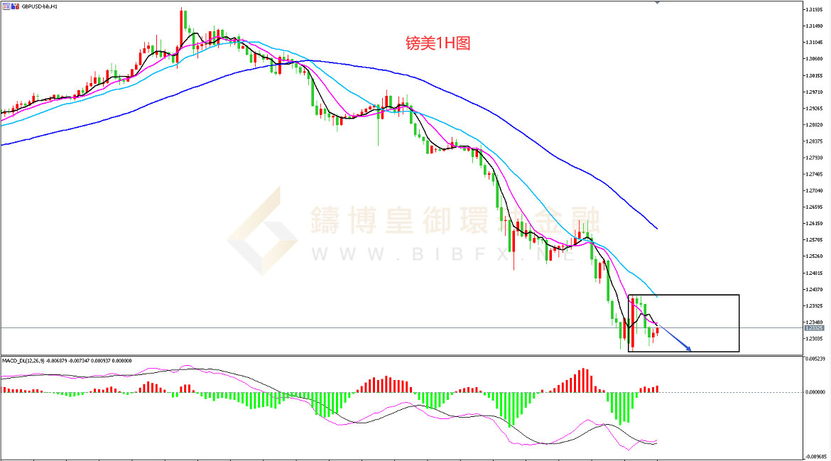 御金国际-英镑/美元