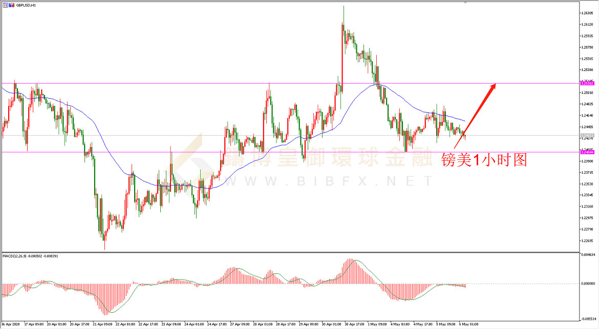 御金国际-英镑/美元