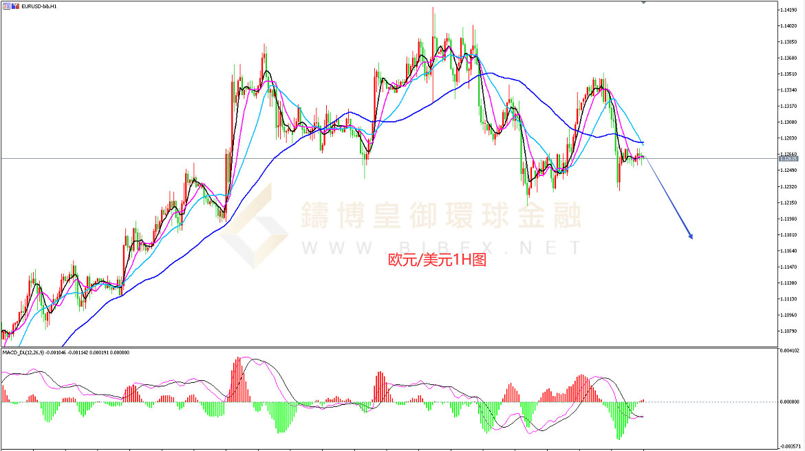 御金国际-欧元/美元