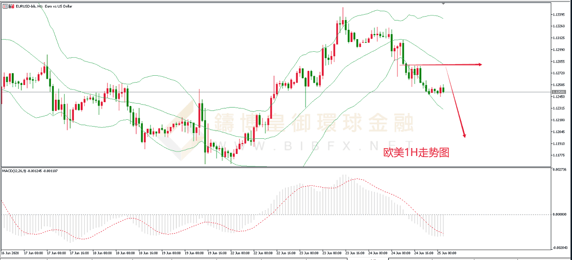  御金国际-欧元/美元