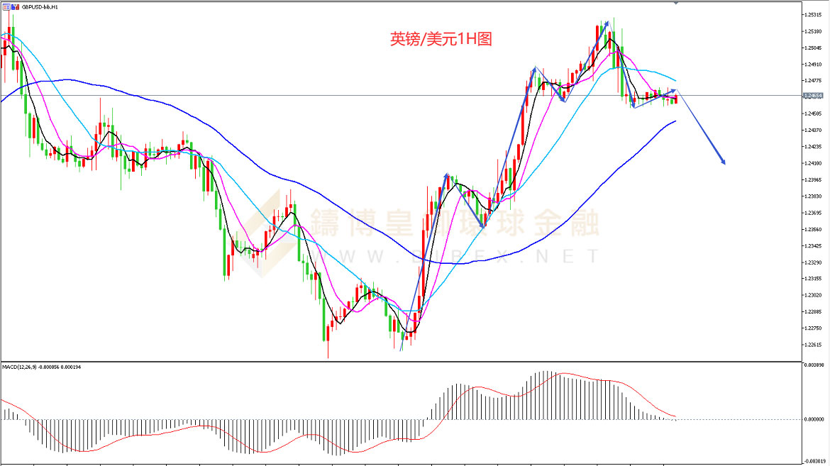 御金国际-英镑/美元