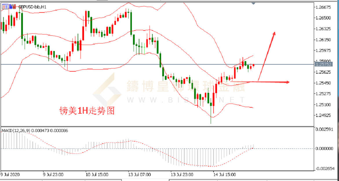 御金国际-英镑/美元
