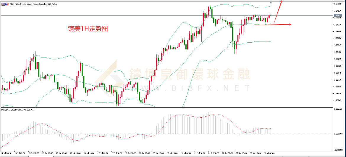 御金国际-英镑/美元