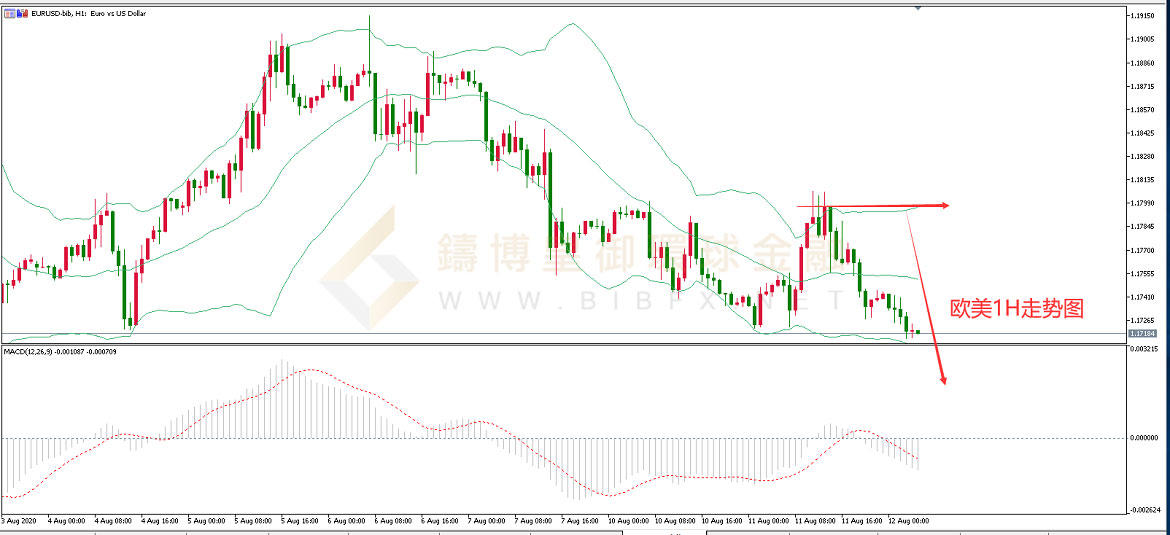 御金国际-欧元/美元