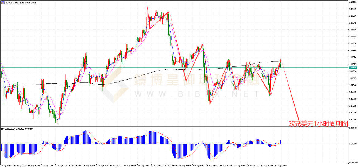 御金国际-欧元/美元