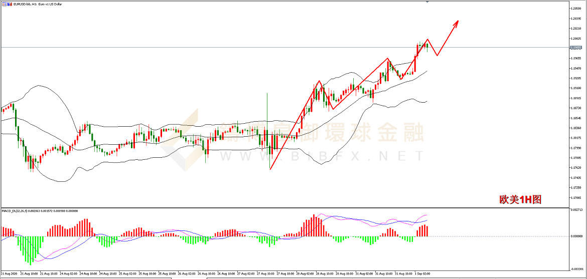 御金国际-欧元/美元
