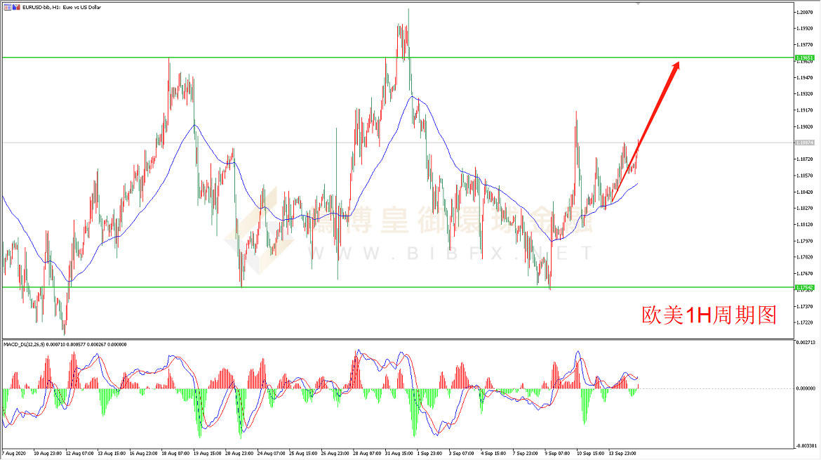 御金国际-欧元/美元