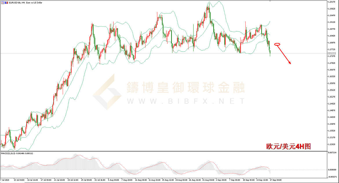 御金国际-欧元/美元