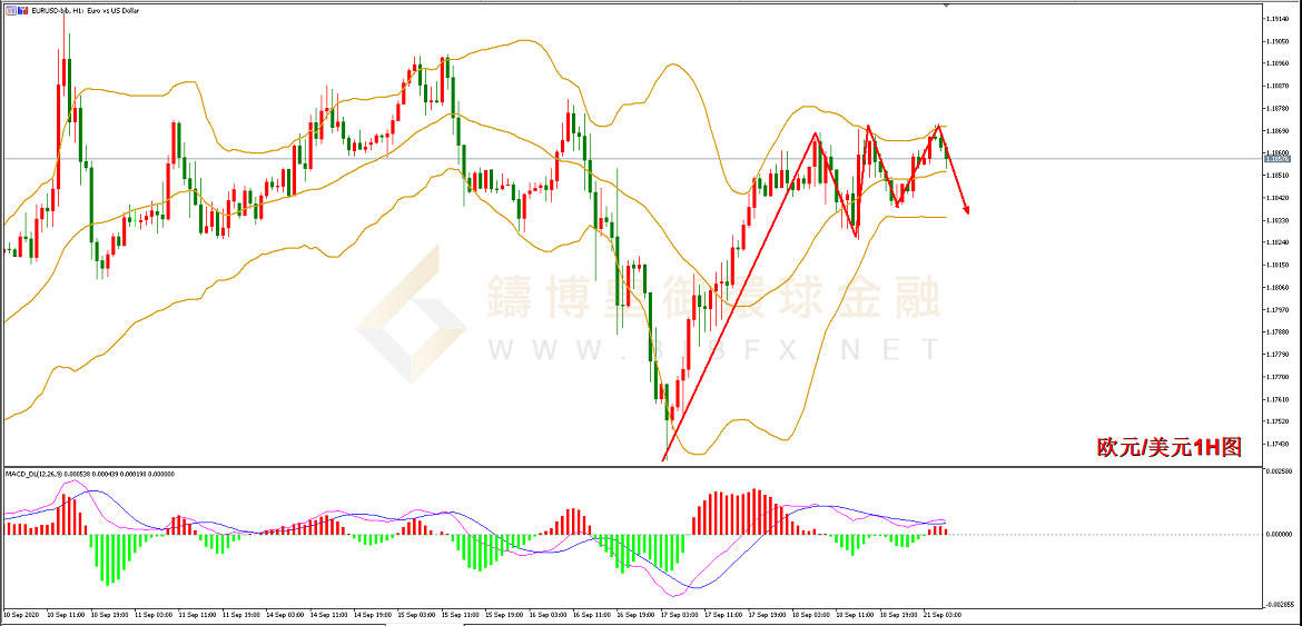 御金国际-欧元/美元