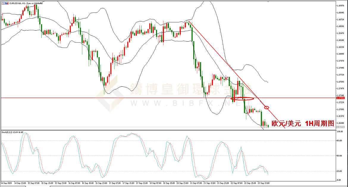 御金国际-欧元/美元