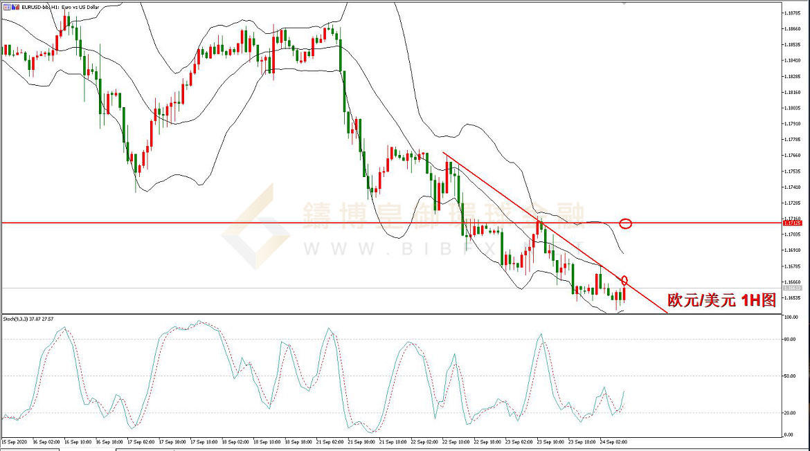 御金国际-欧元/美元