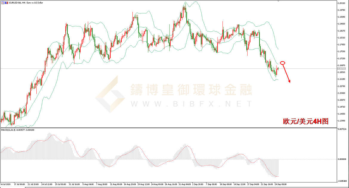 御金国际-欧元/美元
