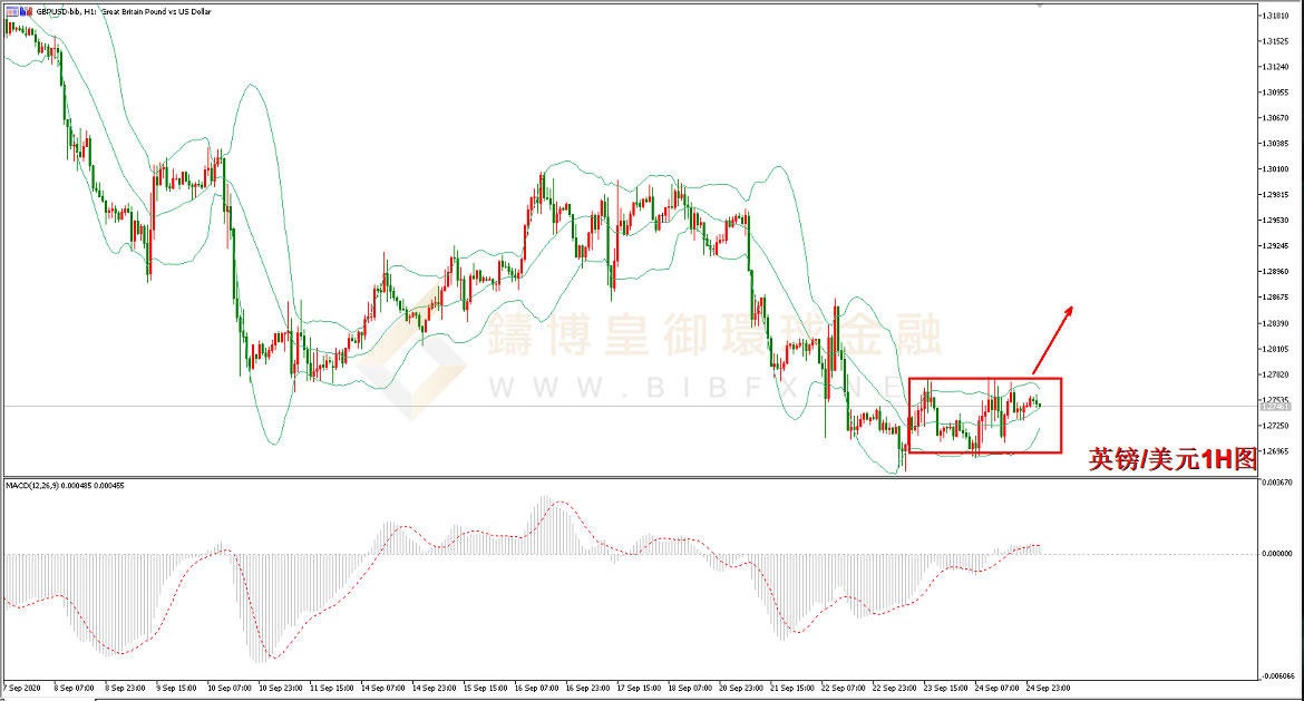 御金国际-英镑/美元