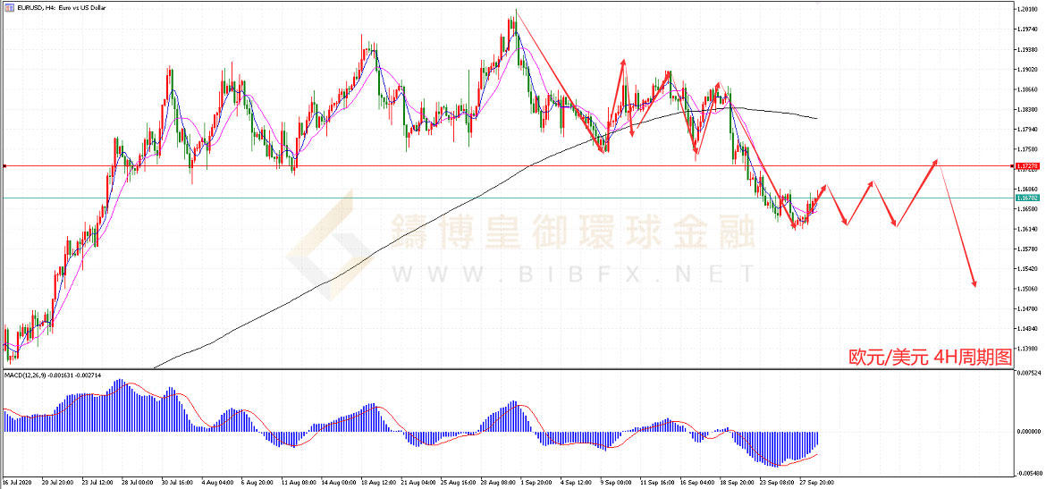 御金国际-欧元/美元