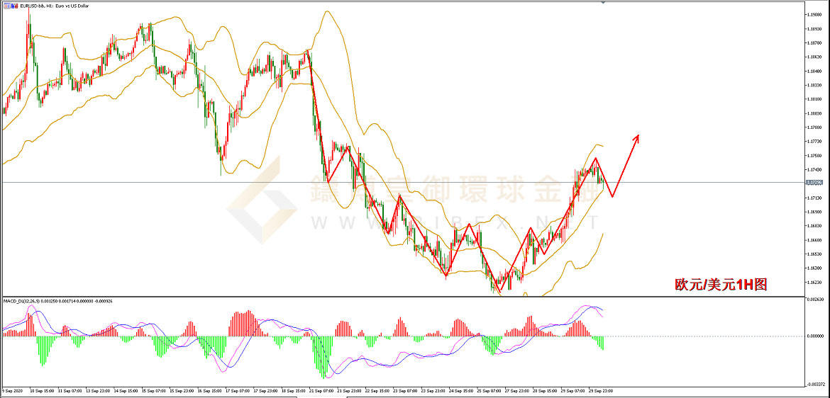 御金国际-欧元/美元