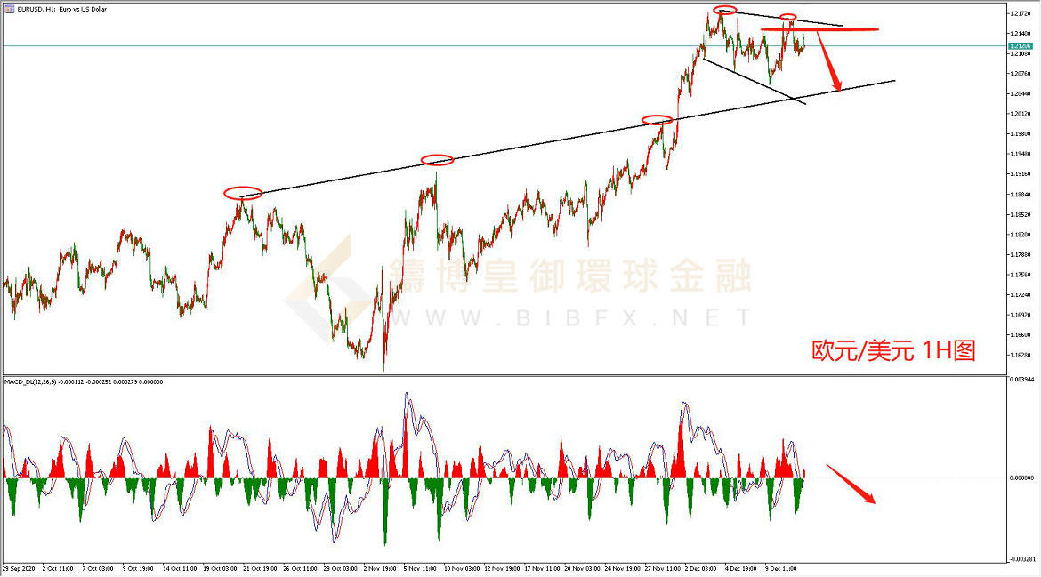 御金国际-欧元/美元