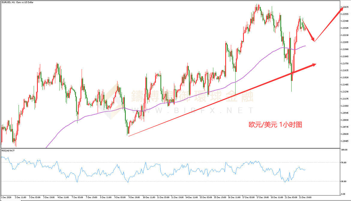 御金国际-欧元/美元