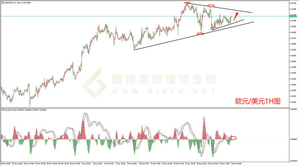 御金国际-欧元/美元
