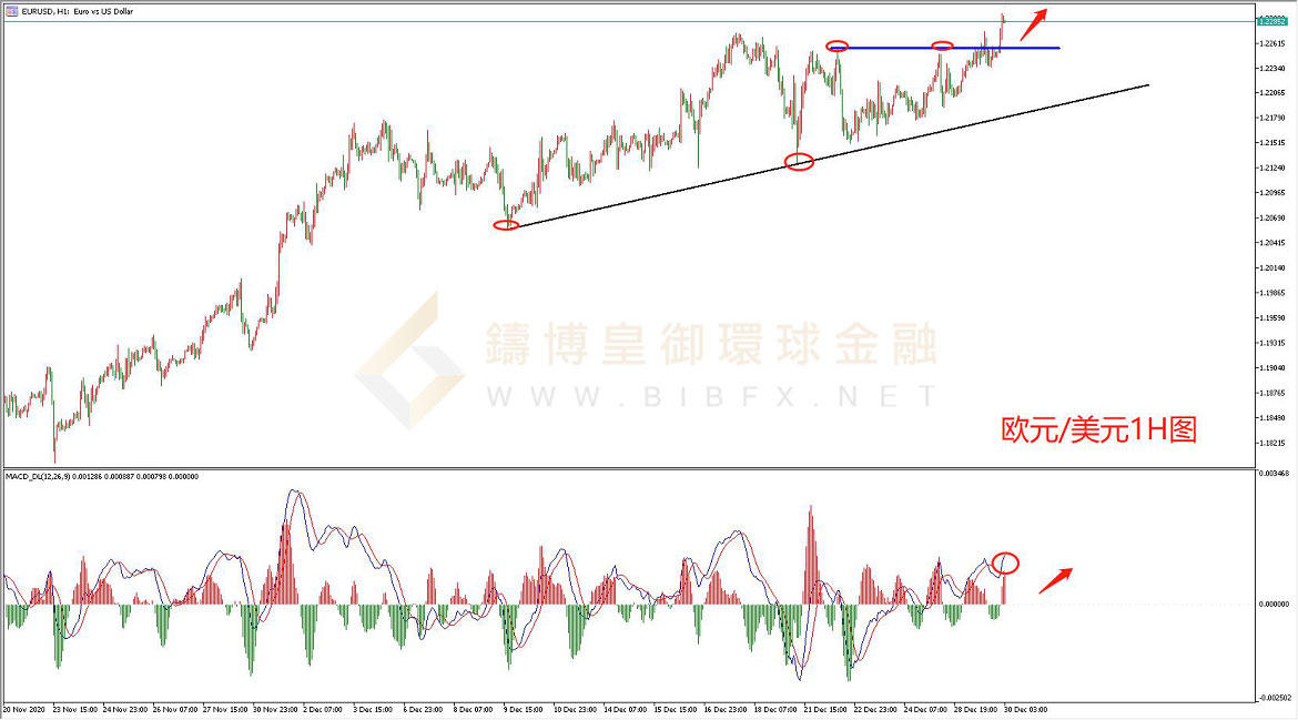 御金国际-欧元/美元