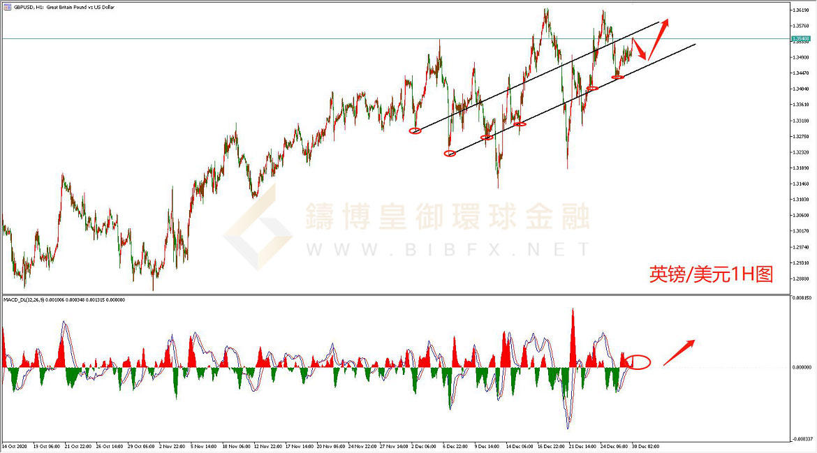 御金国际-英镑/美元