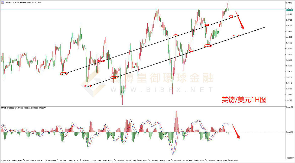 御金国际-英镑/美元