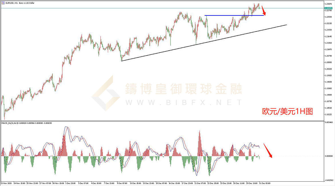 御金国际-欧元/美元