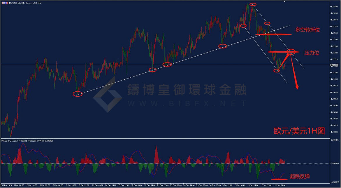 御金国际-欧元/美元