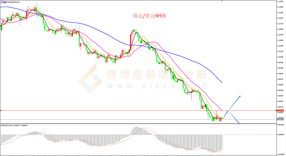 御金国际-欧元/美元