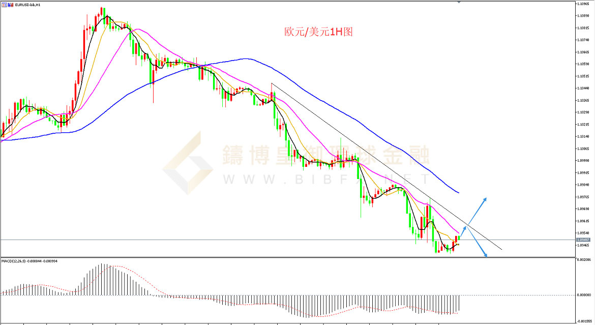 御金国际-欧元/美元