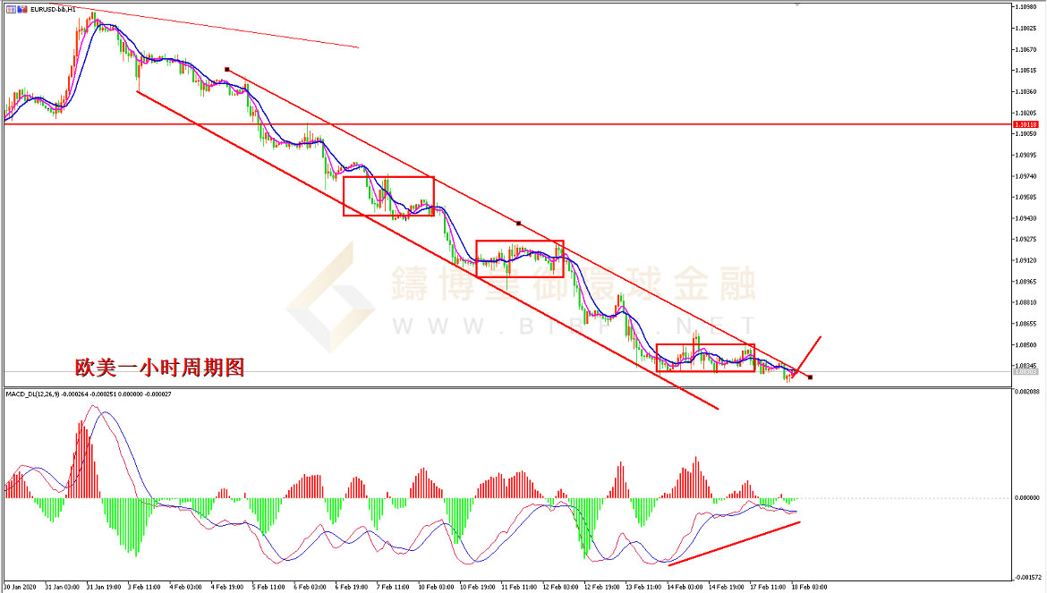 御金国际-欧元/美元