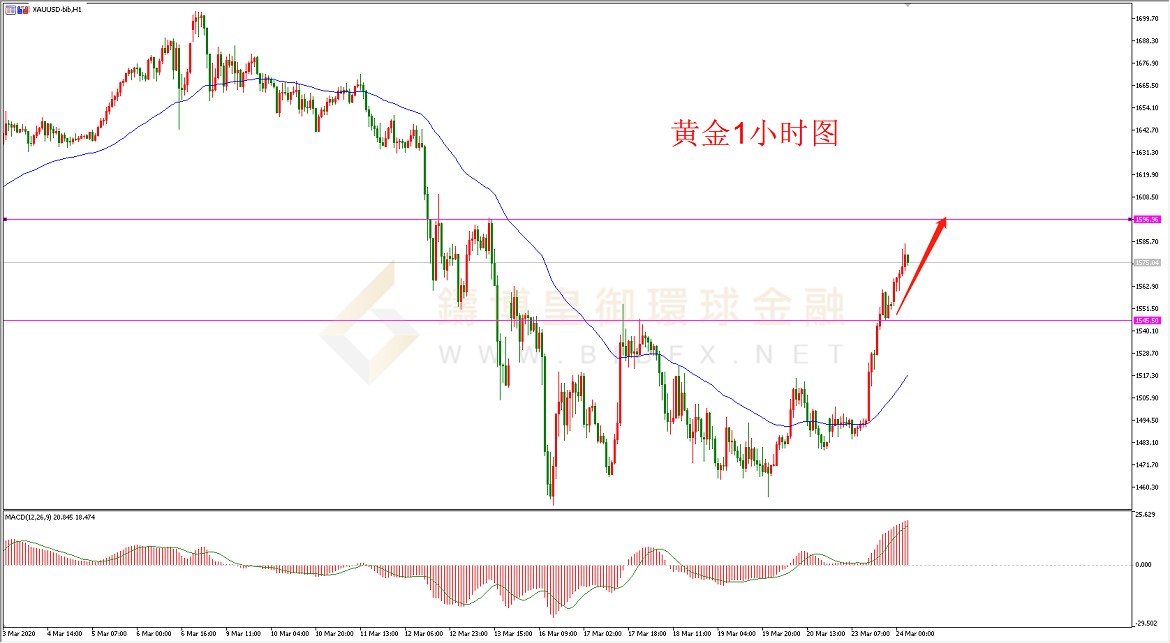 御金国际-黄金走势图