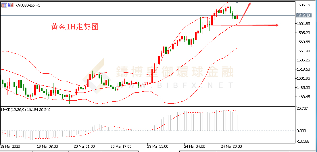 御金国际-黄金走势图
