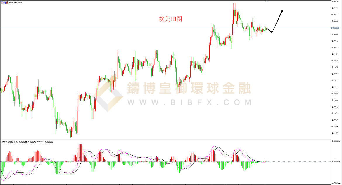 御金国际-欧元/美元